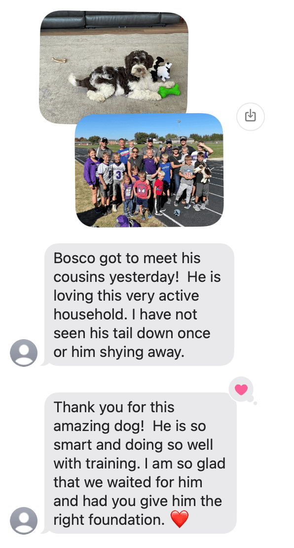 Bosco