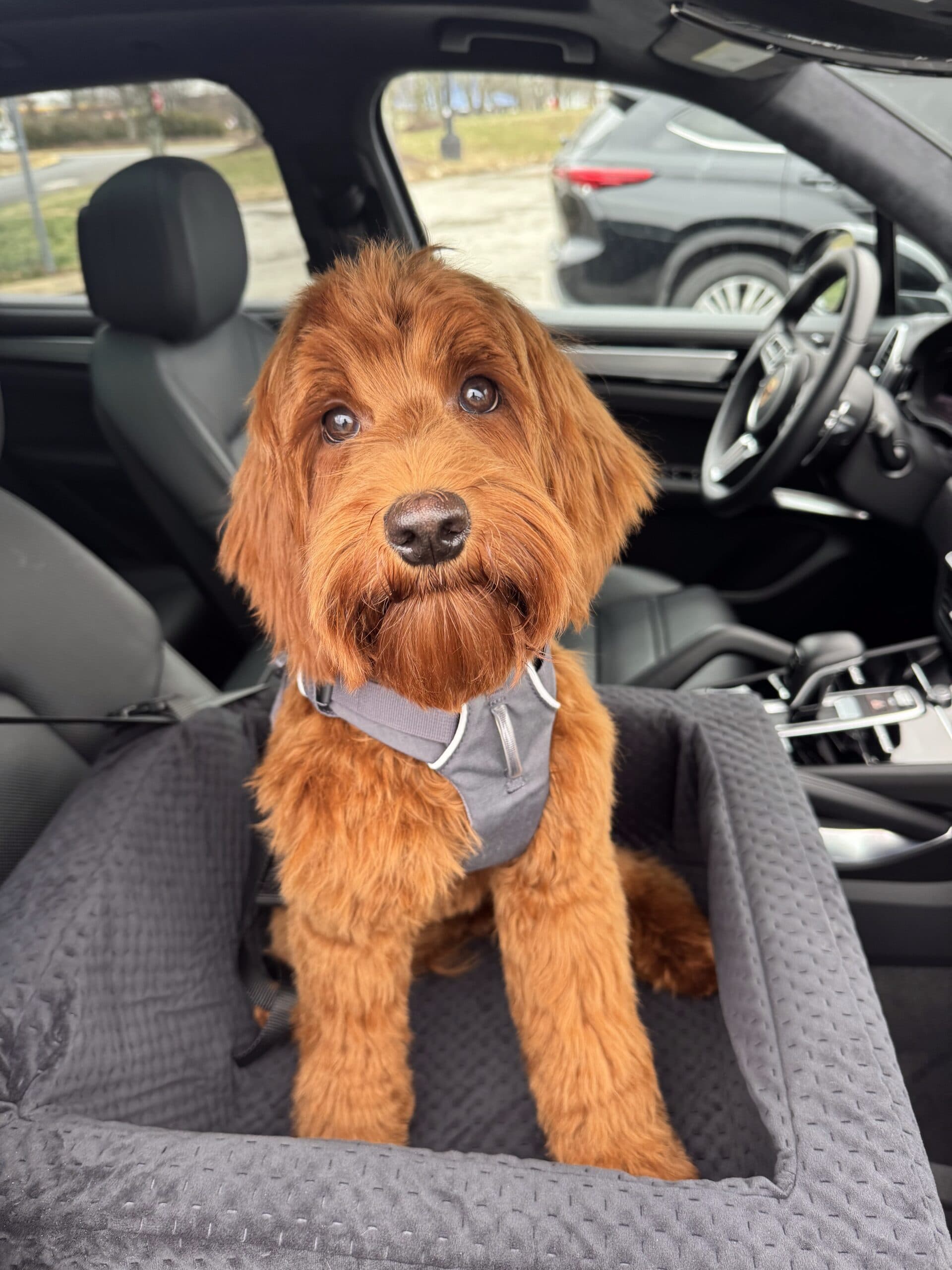 Charlie