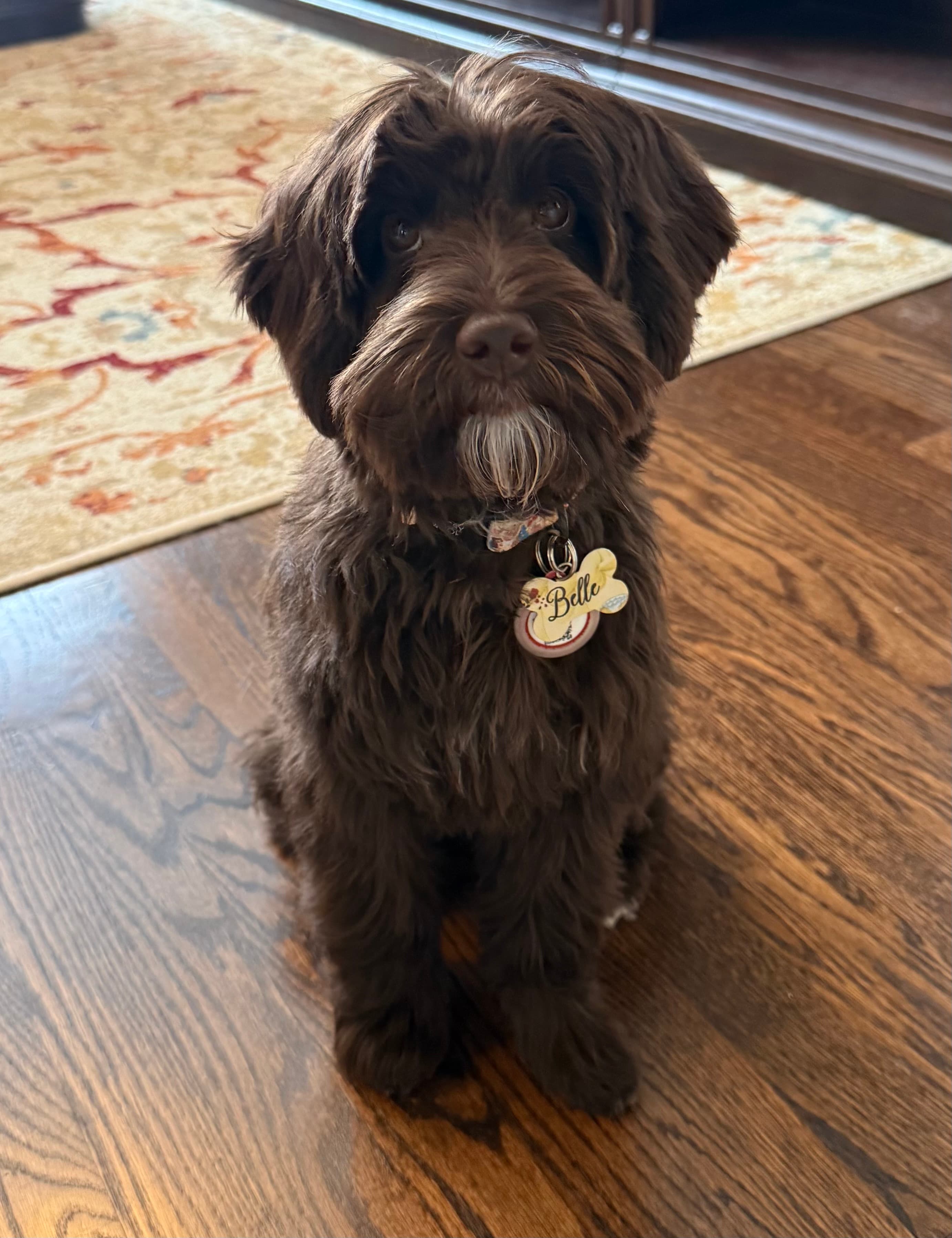 Belle