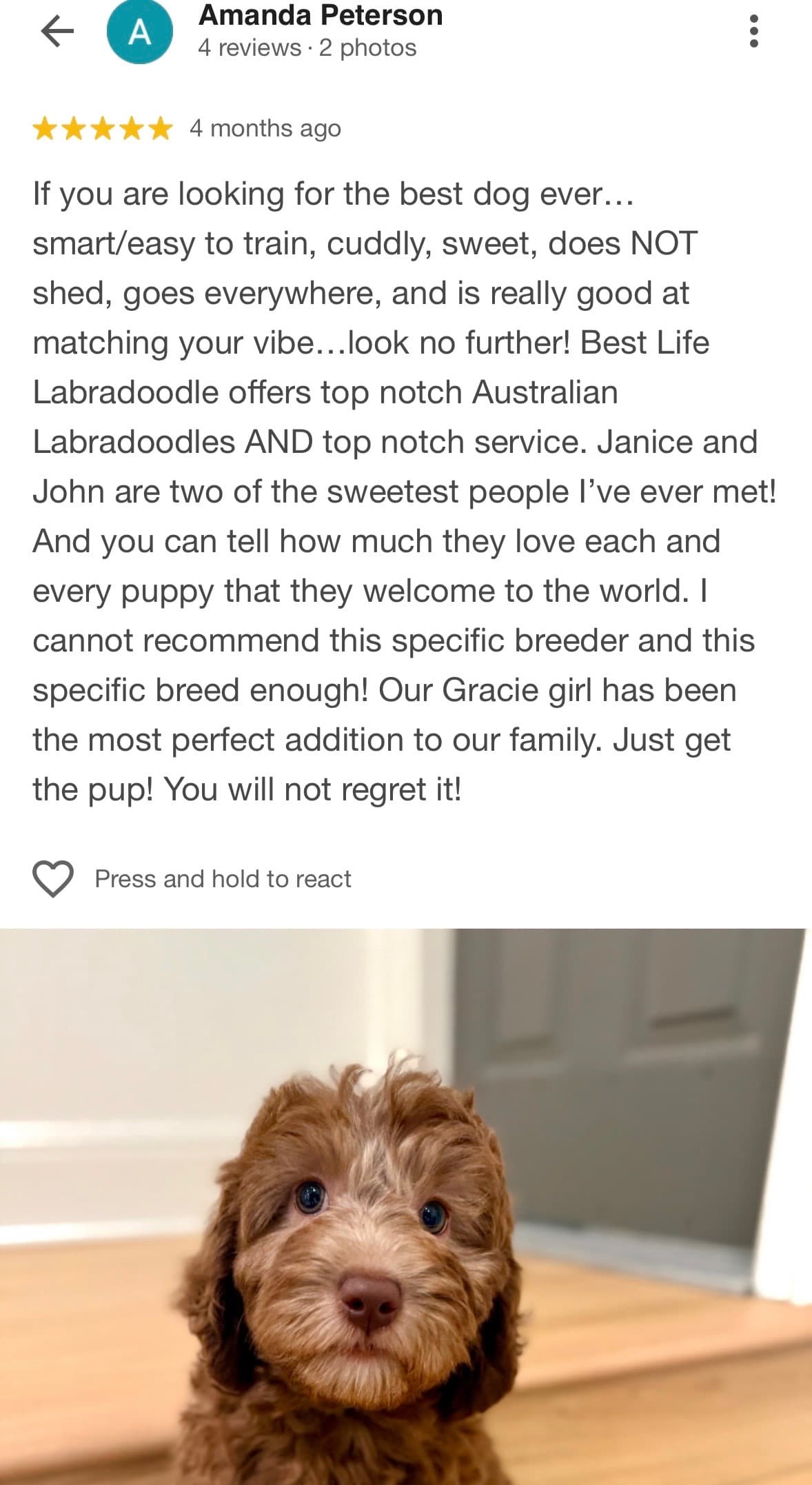 Five-star review