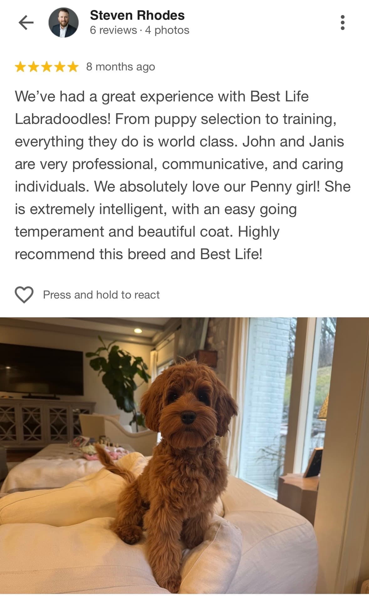 Five-star review