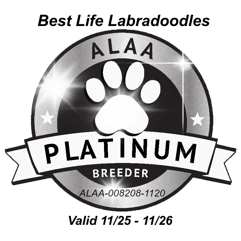 ALAA Platinum Breeder — Best Life Labradoodles