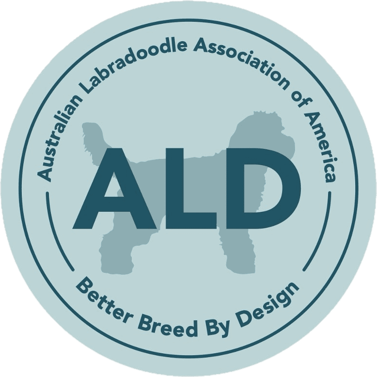 Australian Labradoodle Association of America — Better Breed By Design