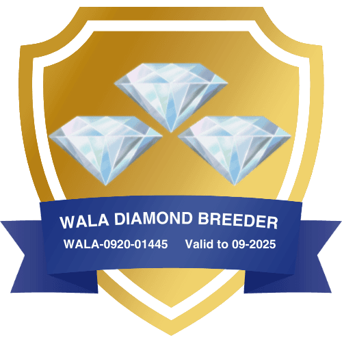 WALA Diamond Breeder — Best Life Labradoodles